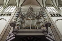 Organ Dom Church Utrecht