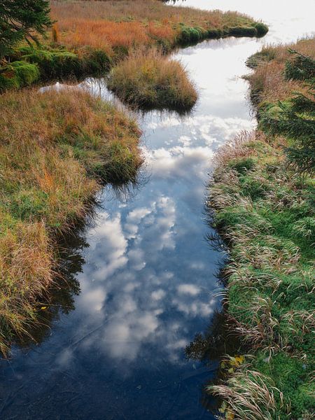 Himmel auf Erden von Max Schiefele