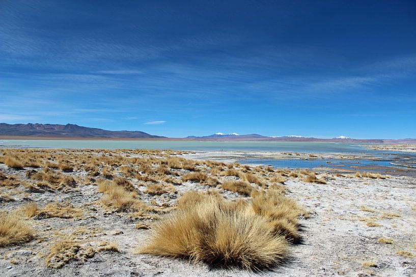 Bolivianische Hochebene von Marieke Funke