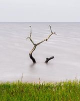 Rising water - color