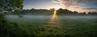 Sunrise over meadow on the Ems as panorama