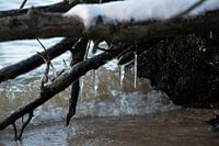 Freezing on the beach