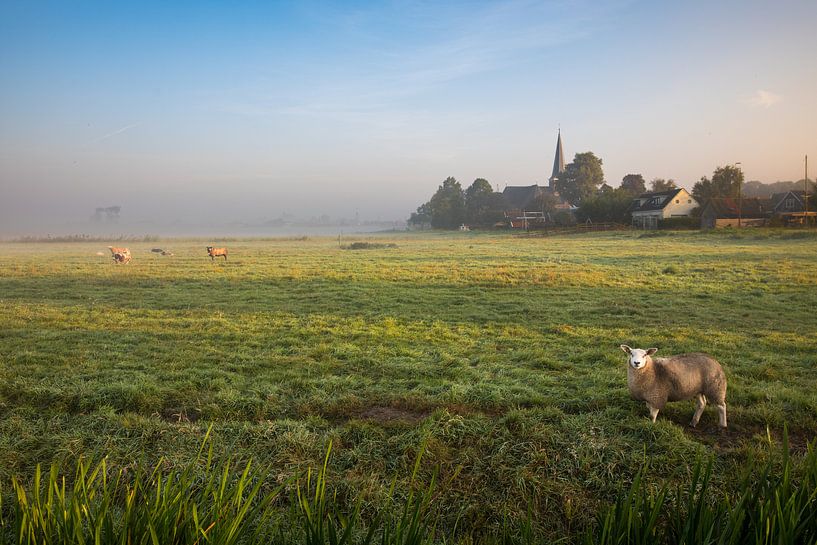 Dutch misty landscape with grazing sheep and a typically Dutch cloudy sky. Wout Kok One2 by Wout Kok