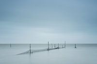 Visnetten in het water