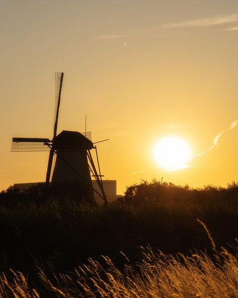 Kinderdijk Mühle Sonnenuntergang Gelb von Zwoele Plaatjes