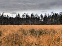 Herbstliche Landschaft