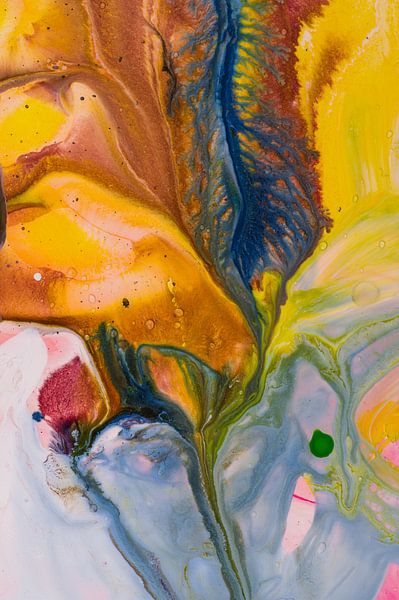 Pas de titre 3 par angelique van Riet