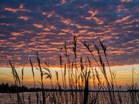 Le vaisseau-mère arrive