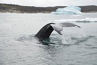 à proximité du bateau
