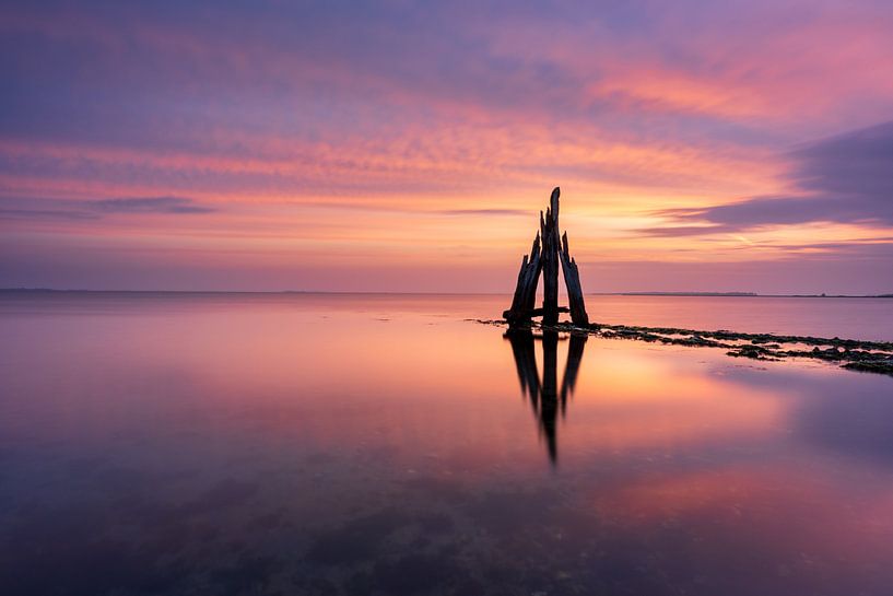 The old wooden &quot;eagle head&quot; during sunrise by Ellen van den Doel