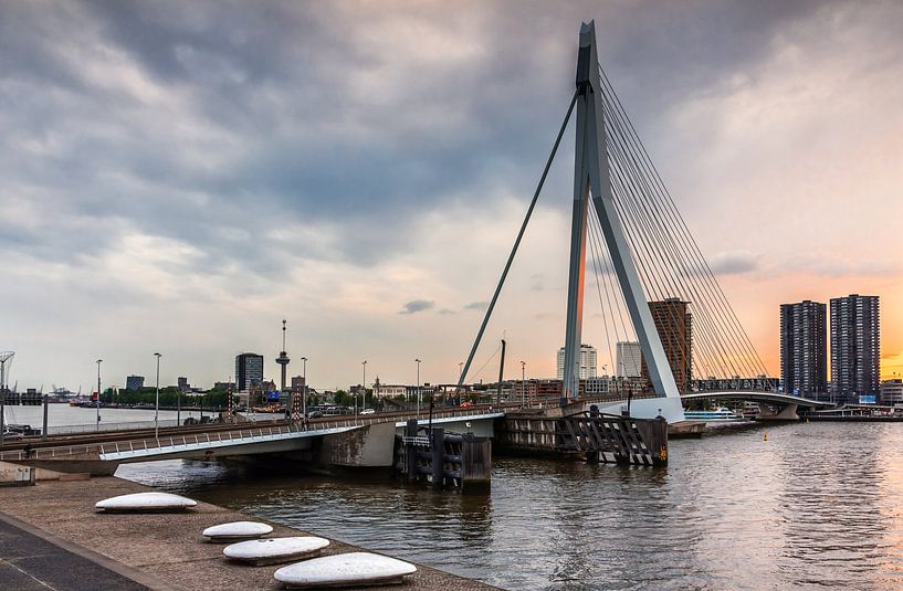 Erasmus Bridge, Rotterdam by Lorena Cirstea