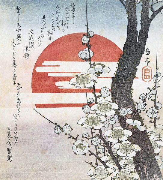 Pflaumenblüte für die aufgehende Sonne, Yashima Gakutei von 1000 Schilderijen