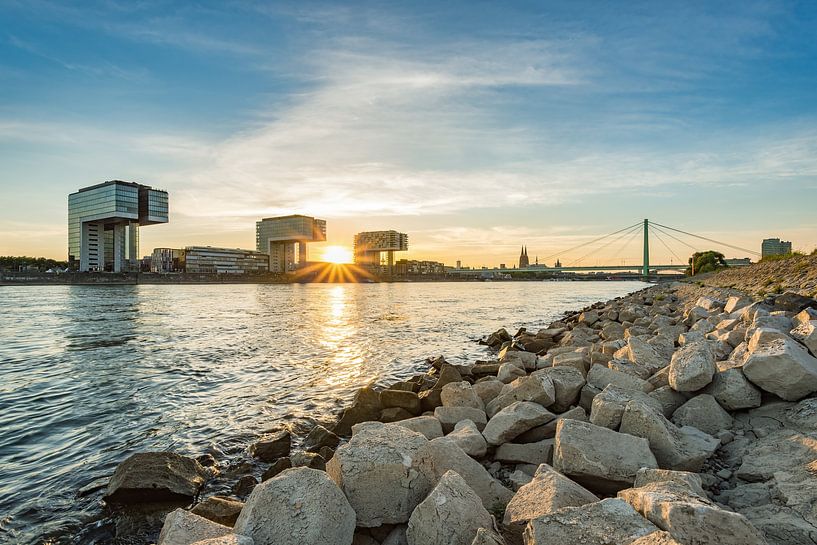 Summer in Cologne by Michael Valjak