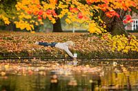 La décision détermine le destin