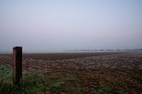 Vergezicht vanaf de paal