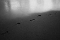 Footsteps on a beach in Costa Rica, rugged