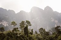 Lever du soleil à Khao-Sok, Thaïlande