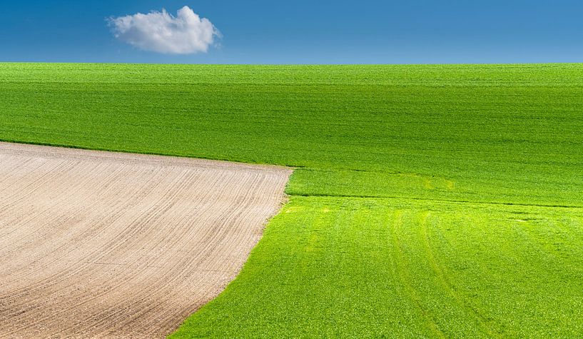 0484 Nuage solitaire par Adrien Hendrickx