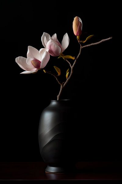 Das Geheimnis der Magnolie von Maarten Knops