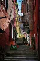 Smalle trap tussen kleurrijke huizen in de oude stad van Mont