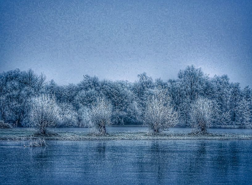 The glass forest by Henk Schmitz