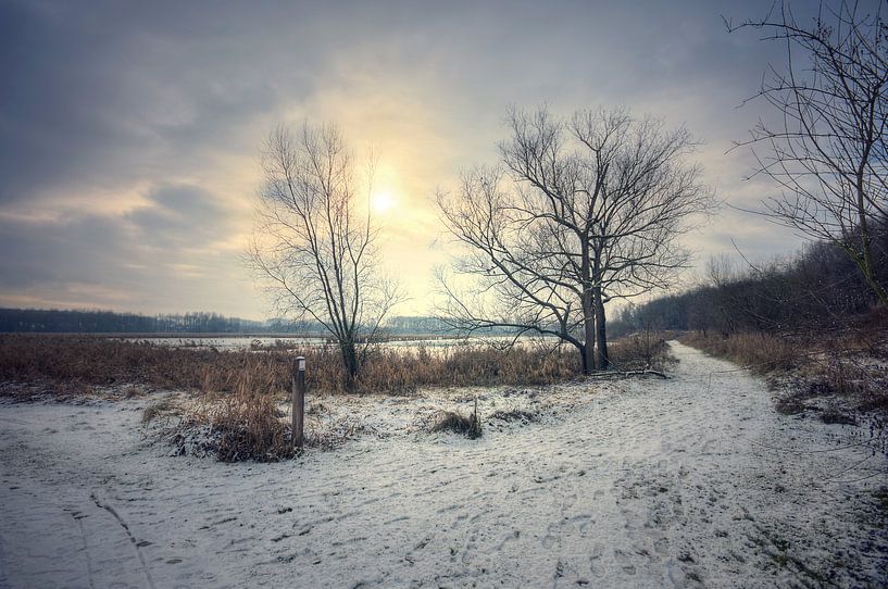 Lansschap - Winter by Angelique Brunas