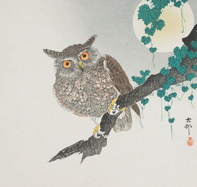Eule, Ohara Koson von Meisterhafte Meister