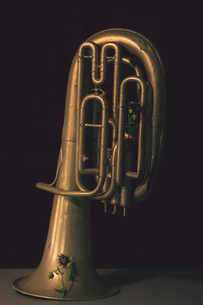 Die Band, Tuba von met Jessica / Fotostudio Drachten