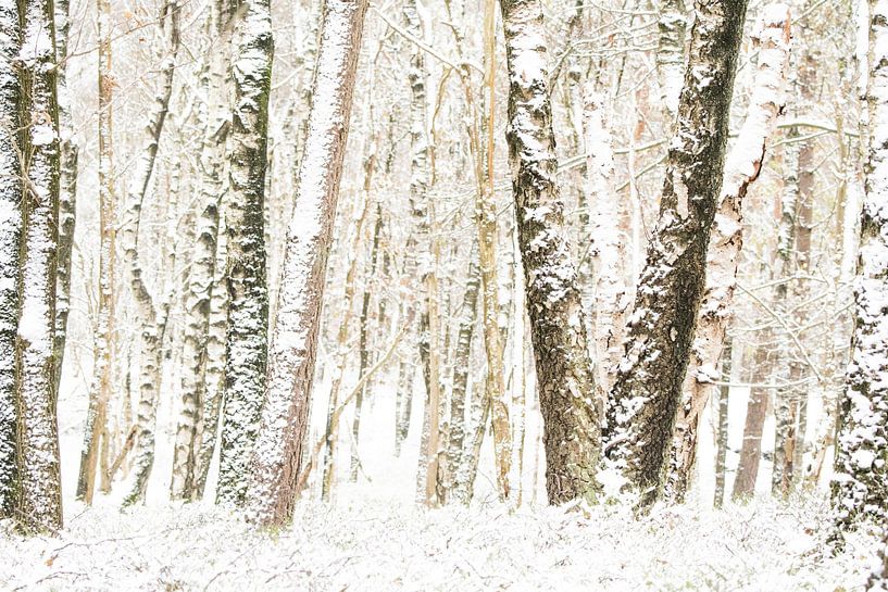 Winterliche Baumlandschaft von Danny Slijfer Natuurfotografie