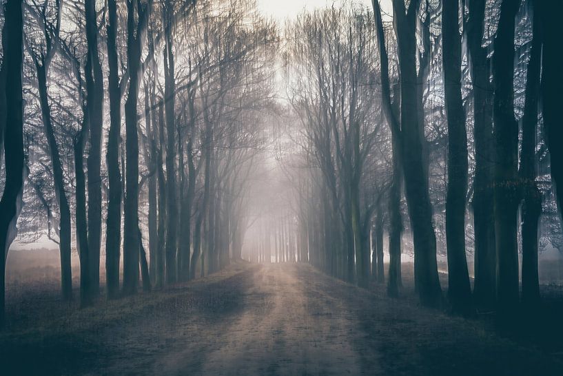 Planken Wambuis part 41 van Tania Perneel