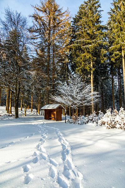 Kleine Winterwanderung im runde um den verschneiten Inselsberg bei Brotterode - Thüringen - Deutschland von Oliver Hlavaty