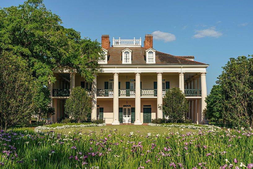 Oak Alley Plantation. by Jaap van den Berg