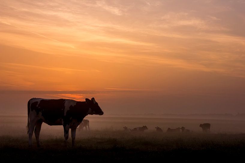 Zonsopkomst in de lage landen by Photo Dante