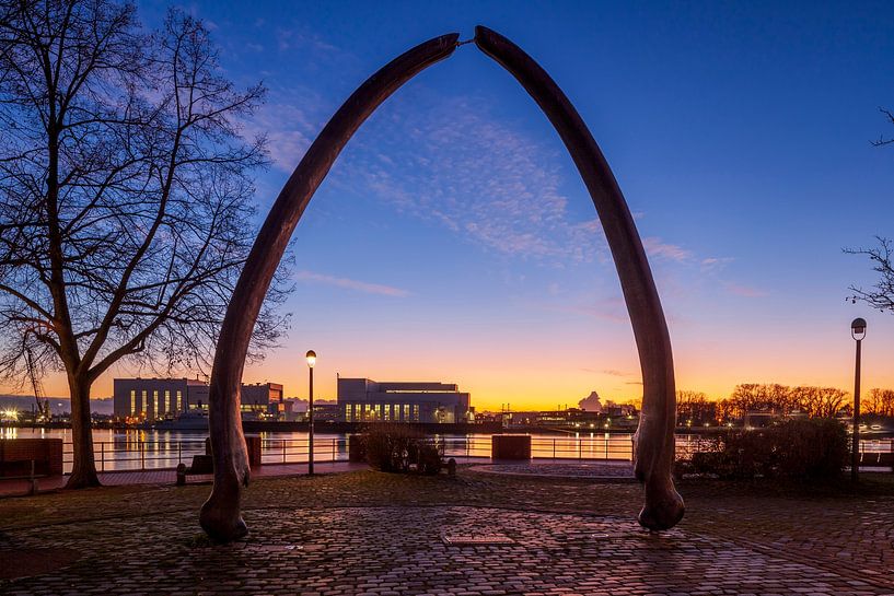 Whale pine in Bremen-Vegesack by Torsten Krüger