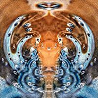 Twin Swans playing with water