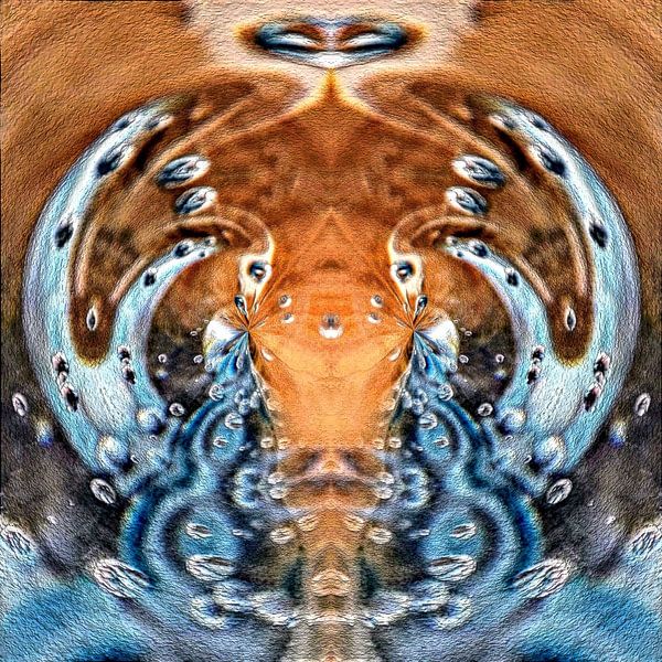 Zwillingsschwäne spielen mit Wasser von Nina IoKa