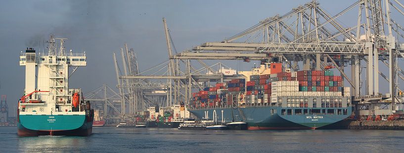 Amazonehaven par Peet de Rouw