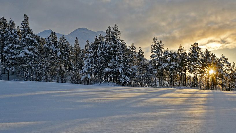 Norwegen, Sonnenaufgang by Michael Schreier