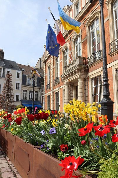 Rathaus, Boulogne-sur-Mer, Frankreich von Imladris Images