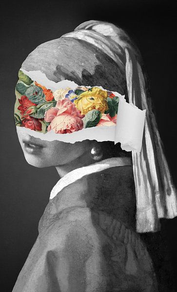 Meisje met de Parel - the Secret Revealed Edition par Marja van den Hurk