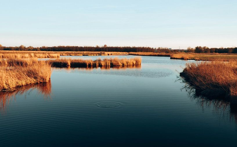 Nature area Het Twiske by Atlasinmyhand