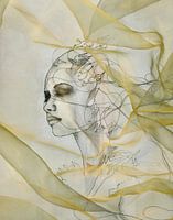 'Versteckt & Gesehen'