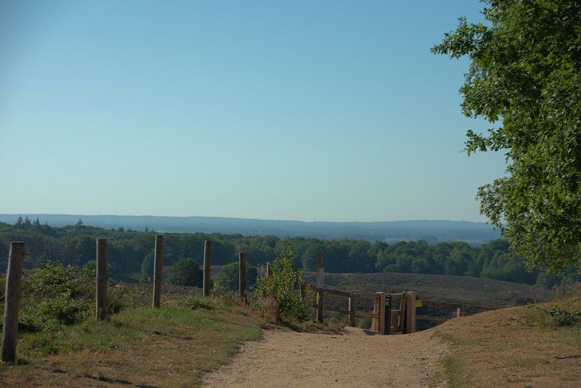 De Posbank un matin de mai. par Jurjen Jan Snikkenburg