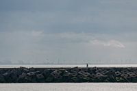 Promeneur solitaire sur la jetée du port de Scheveningen