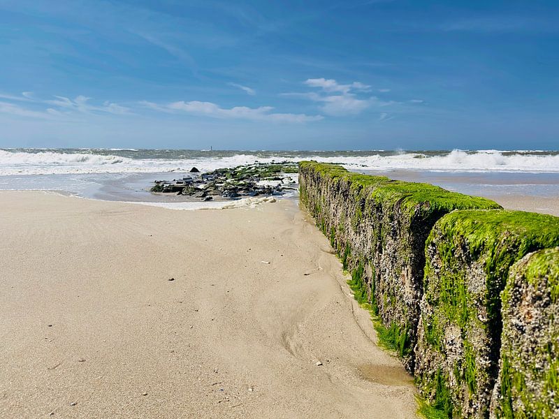 Buhnen am schönen Strand von Syl par HGU Foto