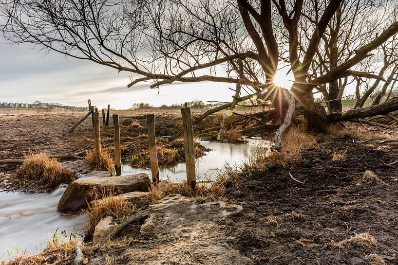 Zonsondergang aan de Maas von Daan van Oort