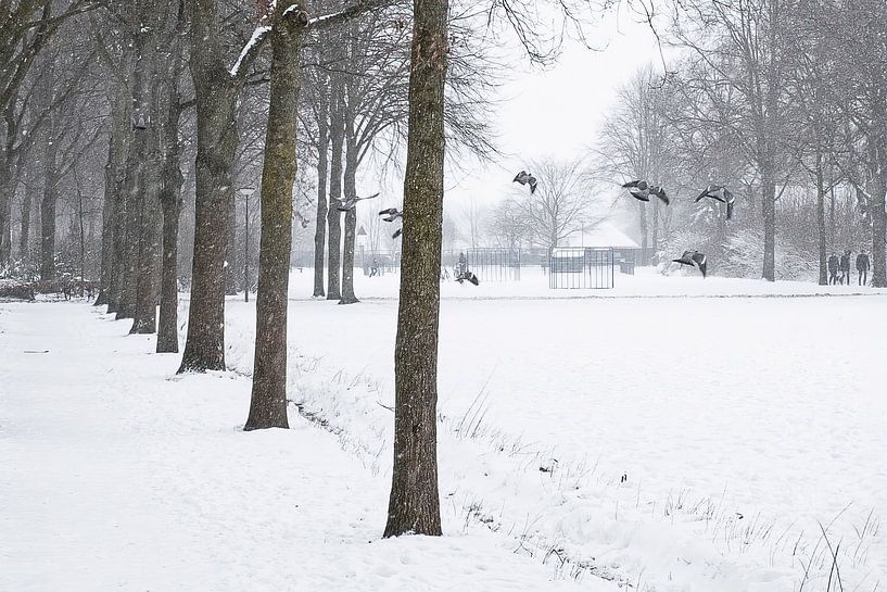 Bavel dans la neige 1 par Peter Smeekens