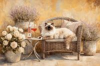 Rattanstuhl mit Katze - Rustikales böhmisches Stillleben
