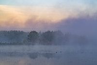 Lever de soleil dans un marais au nord du Limbourg