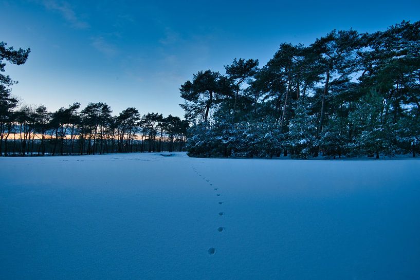 L'hiver dans le Brabant par Bart Verdijk